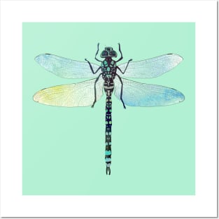 Dragonfly Posters and Art